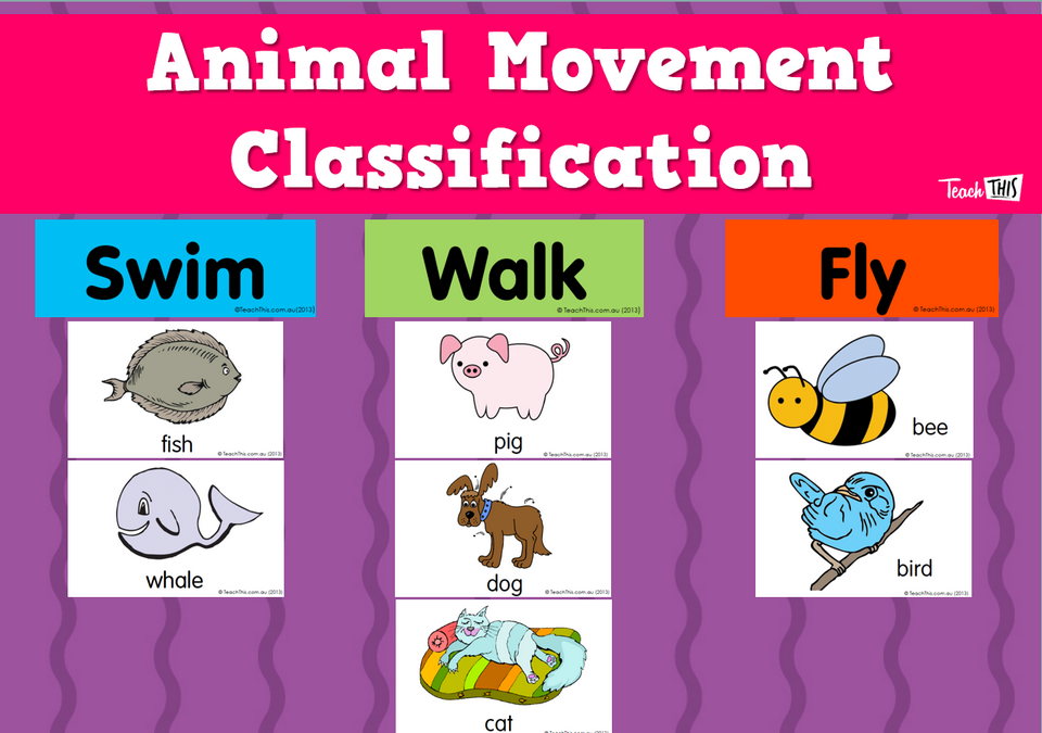 Animal Movement Classification Teacher Resources and Classroom Games